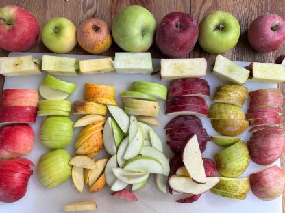 Heritage Apple Tasting Bag — 5lb Mixed Varieties - Image 5